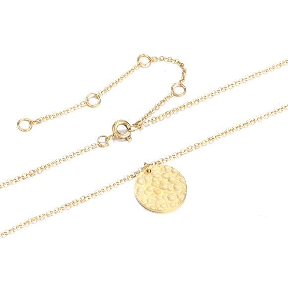 Hammered 14k Gold Plated SS Disc Necklace - Picture 3 of 5